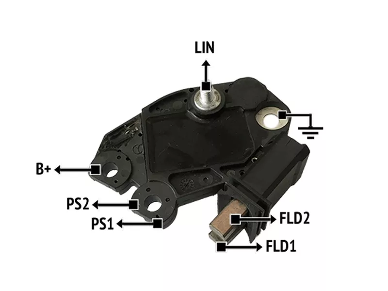 RNV 713729          